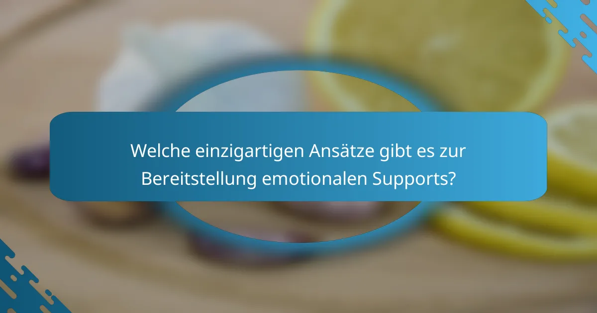 Welche einzigartigen Ansätze gibt es zur Bereitstellung emotionalen Supports?